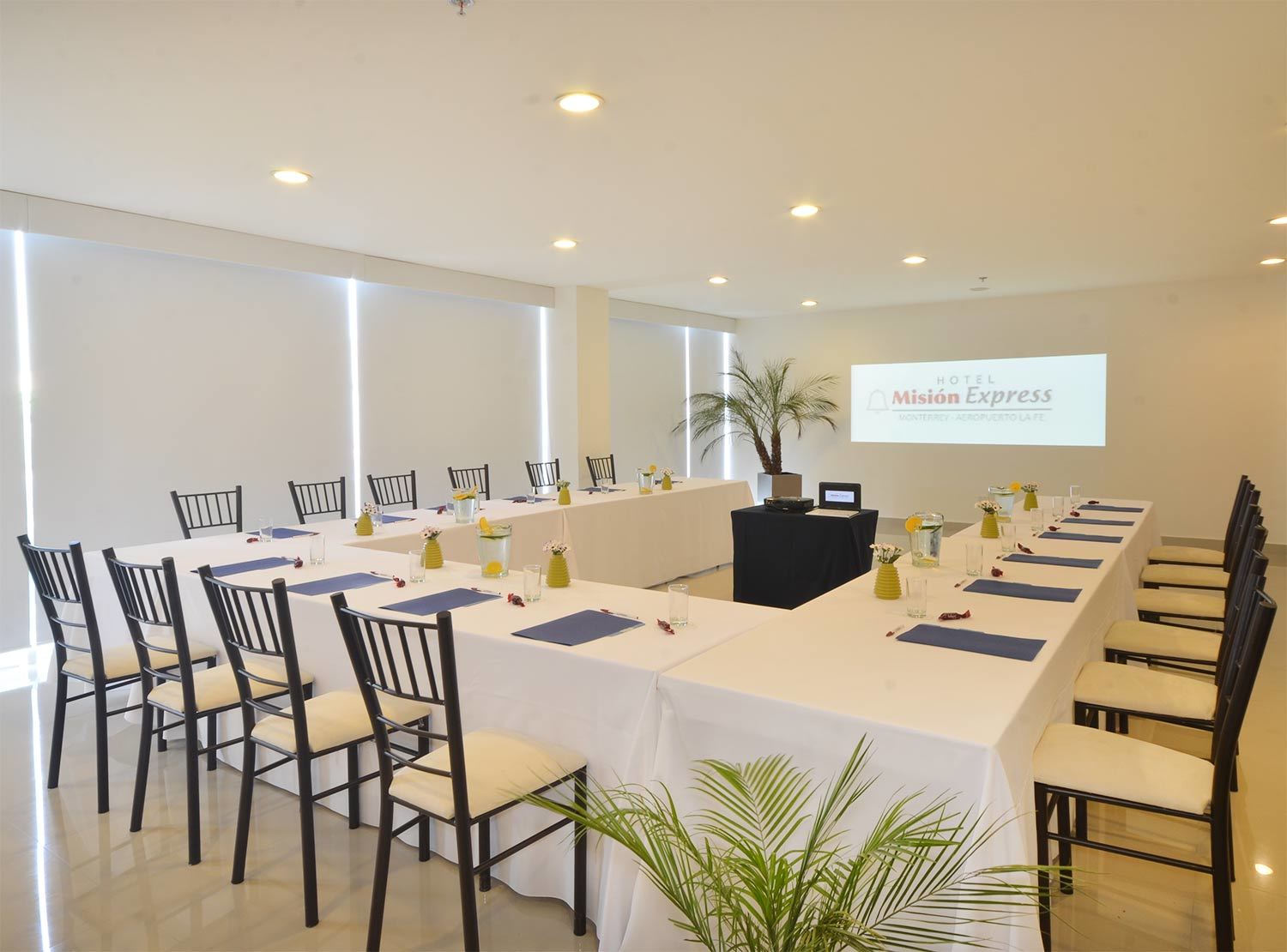 Hotel Mision Express Monterrey Aeropuerto La Fe Apodaca Zewnętrze zdjęcie